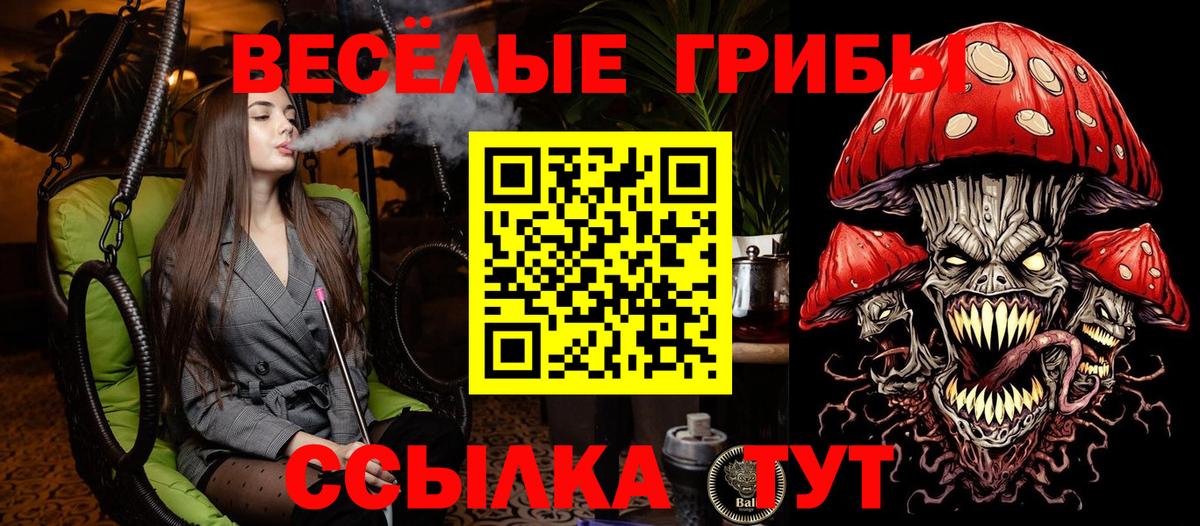 Галлюциногенные грибы Cubensis Элиста
